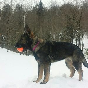 Meet your Posher, Katrina